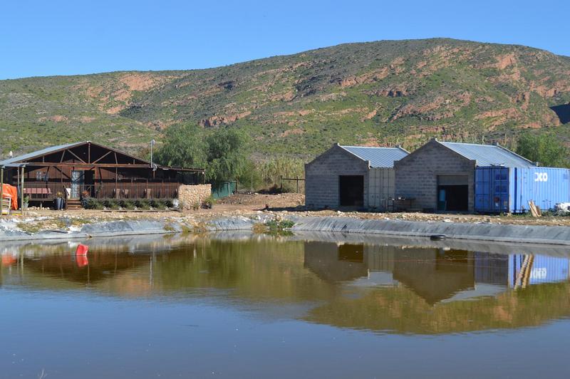 3 Bedroom Property for Sale in Calitzdorp Western Cape